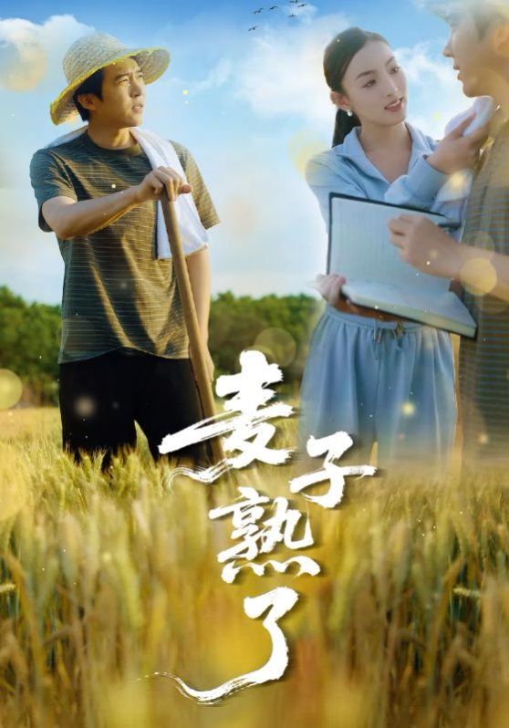 麦子熟了(全集)