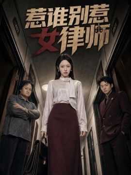 惹谁别惹女律师(全集)