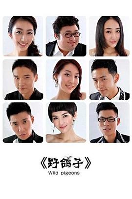 野鸽子 第22集
