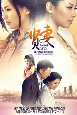 贤妻2013 第25集
